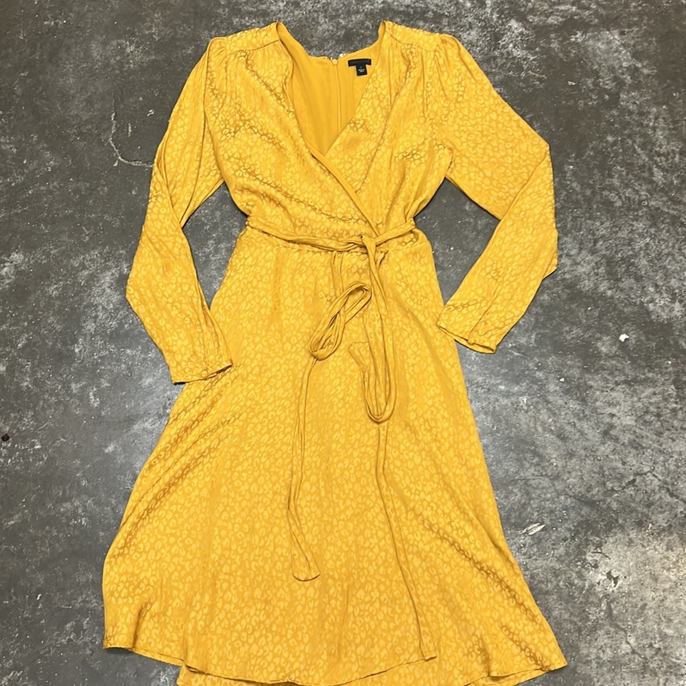 Ann Taylor dress